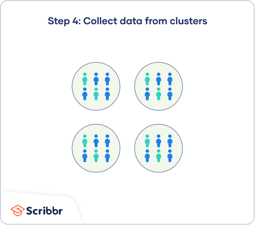 In single-stage cluster sampling, the final step is to collect data from every unit in your selected clusters.